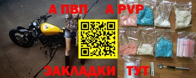 стафф Краснознаменск