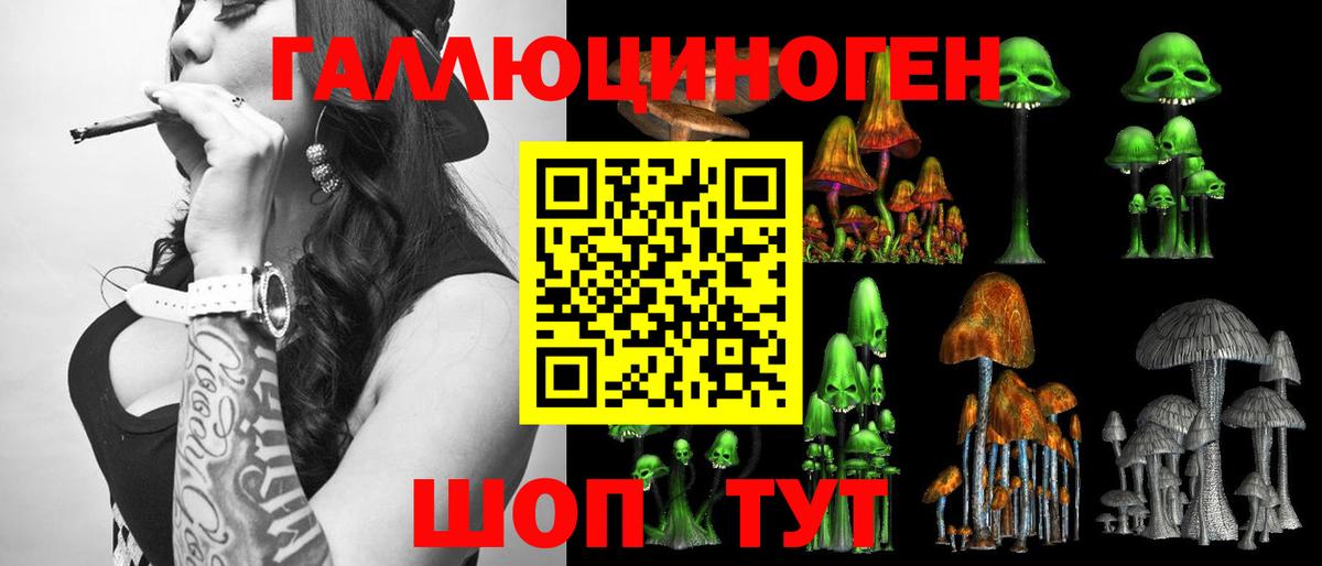Псилоцибиновые грибы Psilocybe  Вход с VPN  Дубна 