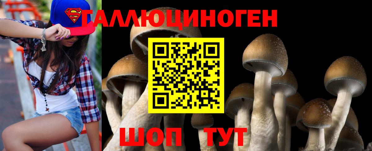 Псилоцибиновые грибы Psilocybine cubensis Дубна